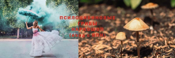 стафф Кулебаки