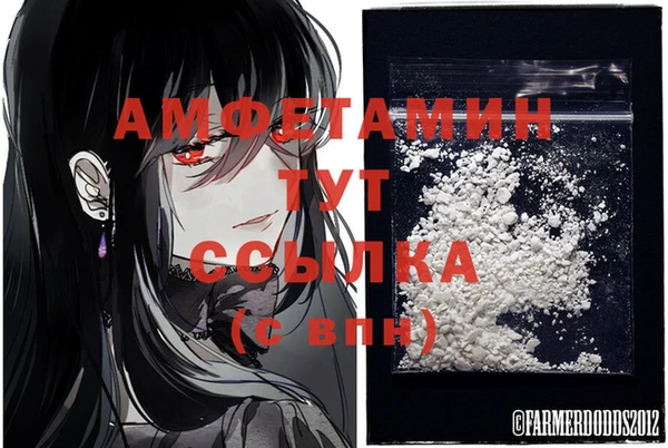 мяу мяу мука Алзамай