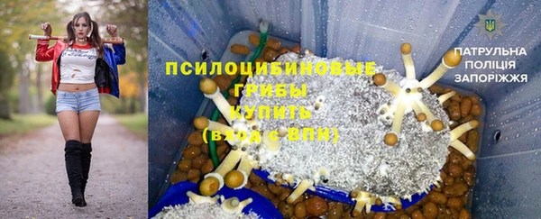 амф Алексеевка