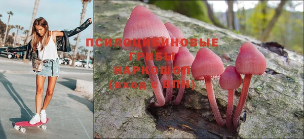 мяу мяу мука Алзамай